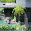 Studio Ailton Alves Arquitetura  Urbanismo