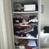 Antes 
