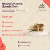 Vethome Atendimento Domiciliar