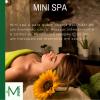 Massagem com toque de mini spar 