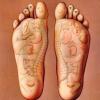 REFLEXOLOGIA
