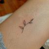Flash Tatto Ramo