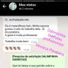 Diaristas Profissionais
