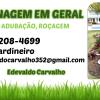 Edy Jardineiro