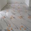 Inexo Construtora