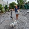 Cida  Hospeda Só Caes Pequenos