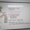 Professora Carol