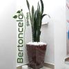 Bertoncelo Garden Ltda