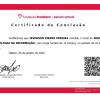 Tecnologia Delivery  Serviços E Soluções Em Ti Generalista