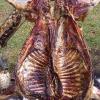 Arte De Fazer Churrasco