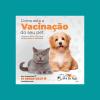 Vet  Cia Pará Home   Atendimento Veterinário A Domicilio Belém E Ananindeua