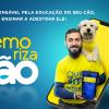 Memorizacão Adestramento