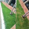 Manutenção de áreas verdes