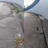 Limpeza