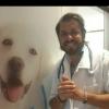 Medicina Veterinária