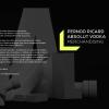 pernod ricard  absolut vodka  Merchandising