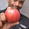 Nutricionista - Clínico e Esportivo | Airam Henrique | Salvador - BA