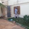 Js.pinturas