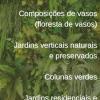 Verdee Paisagismo E Jardinagem