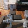 Nice Barreto Personal Organizer