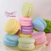 Macarrons Candy Color - Feito em Biscuit