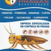 Previne Pragas