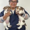 Dra Ana Beth Veterinária Em Domicílio