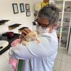 Dra Ana Beth Veterinária Em Domicílio