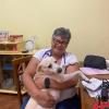 Dra Ana Beth Veterinária Em Domicílio