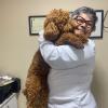 Dra Ana Beth Veterinária Em Domicílio
