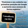 Consultoria em Seo