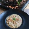 Risoto de pinhão