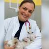 Juliana Lilla  Médica Veterinária Em Domicílio São Paulo Sp
