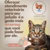 Juliana Lilla  Médica Veterinária Em Domicílio São Paulo Sp