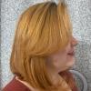 Corte
