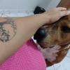 Luciana