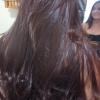 Progressiva e corte