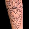 Ornamental