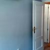 Pintor Profissional