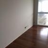 Pintor Profissional