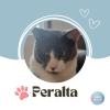Isabelle Petsitter