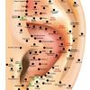 Auriculoterapia ansiedade e stress