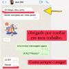 Concurso público