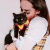 PetSitter/Aux Vet