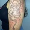 Beckert Ink Tatto