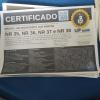 Agência Investigando Profissional