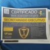 Agência Investigando Profissional