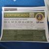 Agência Investigando Profissional