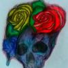 Estampa ( lápis grafite / lápis de cor efeito com cores variadas )