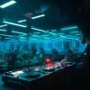 Job DJ